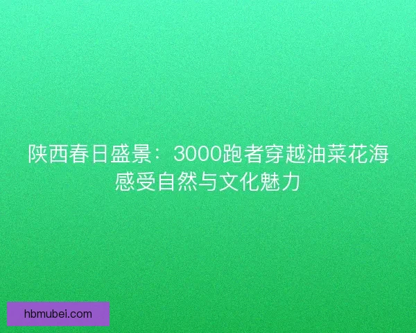陕西春日盛景：3000跑者穿越油菜花海感受自然与文化魅力